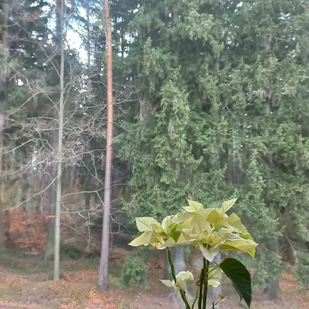 Gorskie Zacisze Frühstückspension *