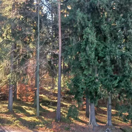 Bed & Breakfast Gorskie Zacisze Borowice