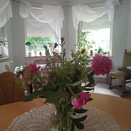 Bed & Breakfast Gorskie Zacisze Borowice