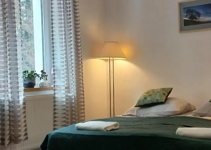 Gorskie Zacisze Borowice