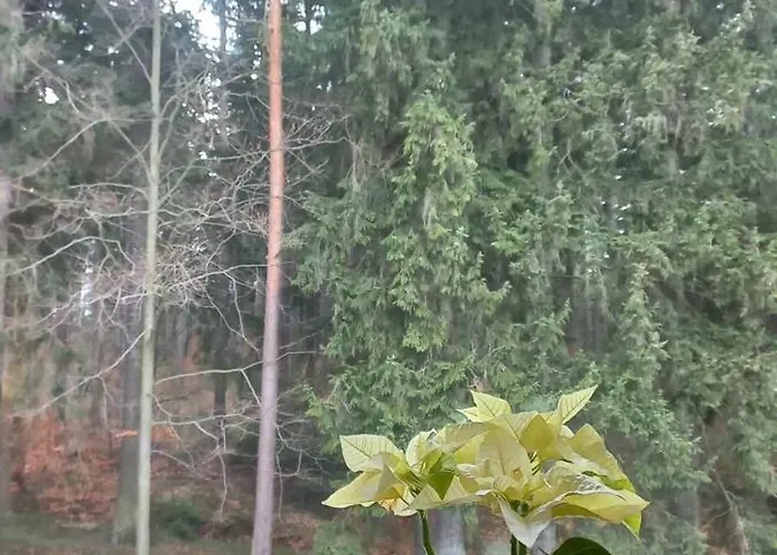 Gorskie Zacisze Frühstückspension 3*