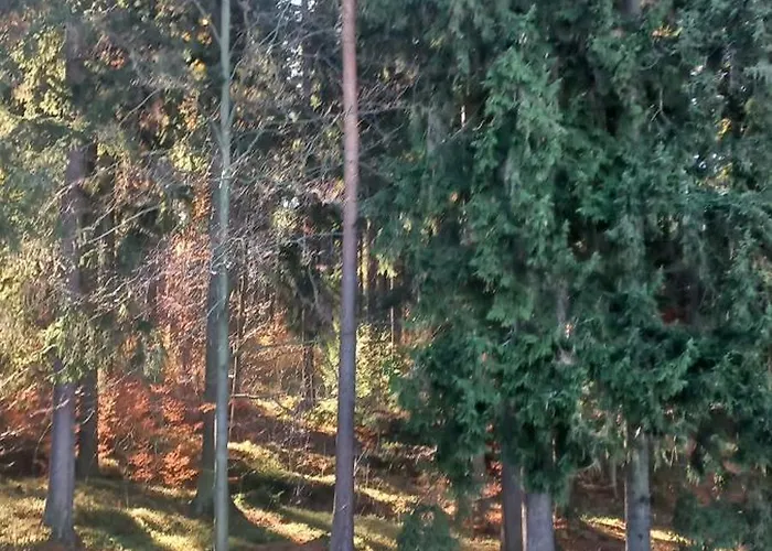 Frühstückspension Gorskie Zacisze Borowice